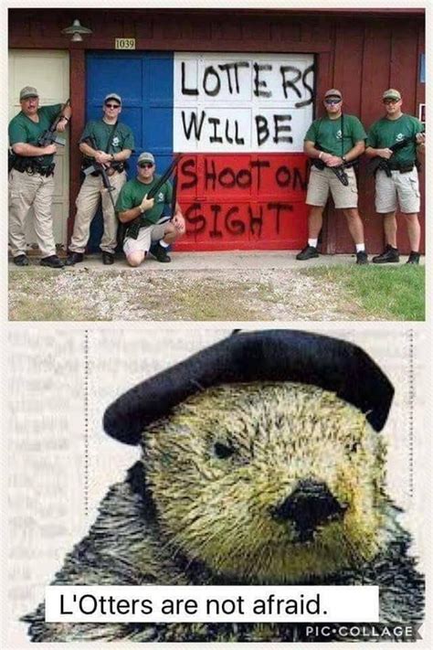 Lotters will be shoot on sight! : r/pics .